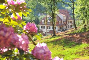 Zahrada ubytování Jugendstilhotel Trifels