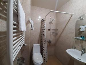 Vannituba majutusasutuses Hotel Grig