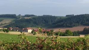 a view of a field with a farm in the distance at Logement pleine nature in Saint-Bris-le-Vineux