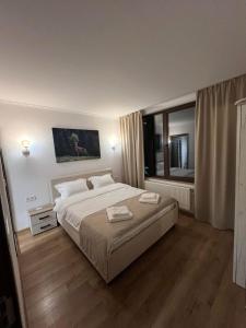 a bedroom with a large bed and a large window at Domeniul H in Rişca