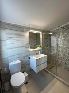 a bathroom with a toilet and a sink and a shower at Domeniul H in Rişca