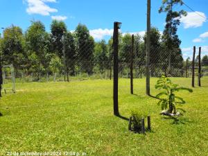 a plant in a field next to a fence at Chacra Don Joaquin 2 in La Cruz