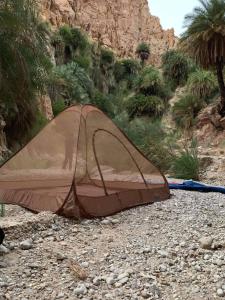 Gallery image of karak camp in Kerak