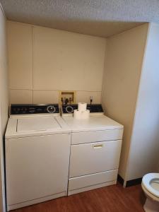 Η κουζίνα ή μικρή κουζίνα στο Cabin 4, our largest cabin in Steuben Mi