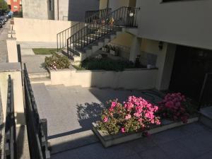 Zahrada ubytování Casa Monsenhor