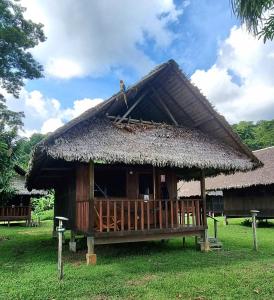 a hut with a thatched roof on top of it at Tambopata Haven lodge in Puerto Maldonado