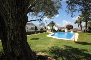 a swimming pool in a yard with a tree at Beachfront townhouse with spectacular seaview in Estepona