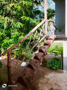 a tree that is growing out of a building at Heena villa in Kamburugamuwa