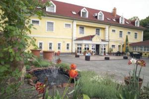 Zahrada ubytování Hotel Aranysas