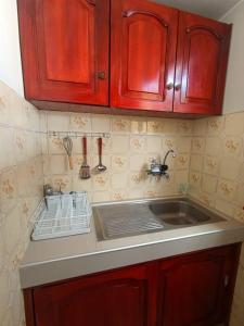 encimera de cocina con fregadero y armarios de madera en La Palmera, en Lima