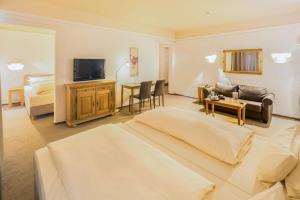 TV a/nebo společenská místnost v ubytování Best Western Hotel Mainz