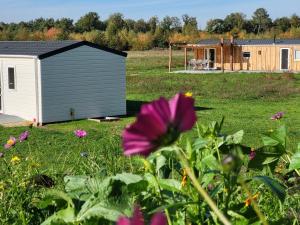 Zahrada ubytování Hoeve Twente - De Torenvalk