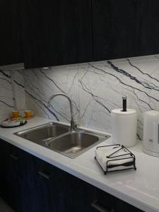 a kitchen counter with a sink and a paper towel at HERA QUEEN Boutique in Larisa