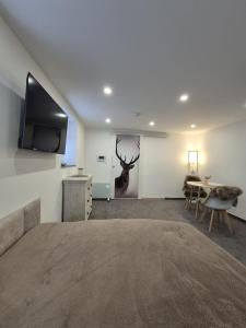 TV a/nebo společenská místnost v ubytování Litzi's Schwarzwald Apartment mit Kamin