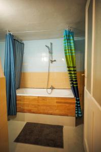 a bathroom with a bath tub with a shower at Domček 555 in Banská Štiavnica