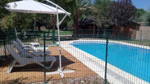 Swimmingpoolen hos eller tæt på Shangri la