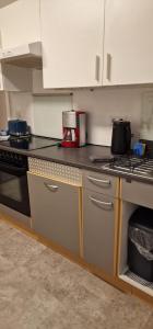 a kitchen with a stove and a counter top at Wohnung mit Wintergarten in Rüsselsheim +3 photos