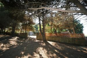 a tree in front of a fence in a field at Limnos Stone House in Kalliópi
