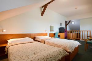 Voodi või voodid majutusasutuse Hotel Čertousy toas