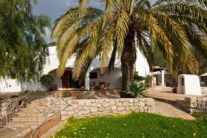 a palm tree in a yard with a stone wall at Can Luc in Ibiza Town
