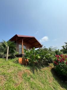 Zahrada ubytování Villa Lomas Sarapiquí