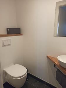 a bathroom with a white toilet and a sink at Superbe appartement 3 chambres et grande pièce à vivre in Wasselonne