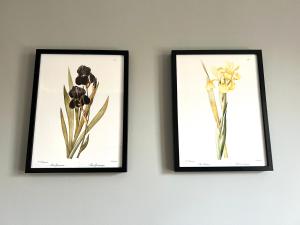 two framed pictures of flowers on a wall at Apartament Akacja CENTRUM in Rzeszów +15 photos