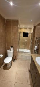 a bathroom with a toilet and a shower and a sink at Villa Cristina in Quarteira