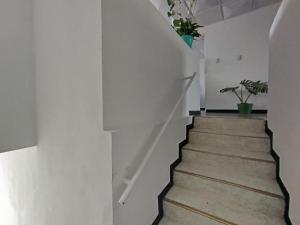 Fotografie z fotogalerie ubytování Serene Home v destinaci Líbano