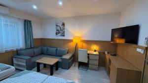 TV a/nebo společenská místnost v ubytování Apartmány Velvet