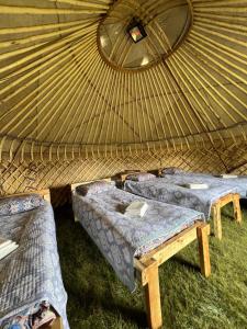 a group of beds in a yurt with at Kel-Suu Kyrgyzstan Yurt Camp in Kol-Suu