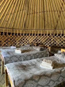 Fotografie z fotogalerie ubytování Kel-Suu yurt camp v destinaci Kol-Suu