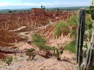 Gallery image of Hostal Makesa Tatacoa in Villavieja +47 photos