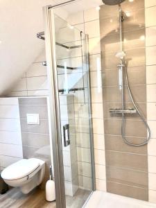 a bathroom with a toilet and a glass shower at Waldstück in Hasselfelde +36 photos