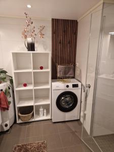 Un lavadero con lavadora y estantería. en New&cozy apartment near Vrådal Panorama Ski Resort, Golf and Beach, en Vradal 33 fotos más