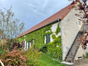 a house covered in green ivy with a ladder at Chez TESS in Saint-Félix