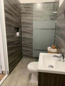 a bathroom with a toilet and a sink at A 7 minutos del Aeropuerto SDQ, Moderno y Compacto Apartamento in Boca Chica +8 photos