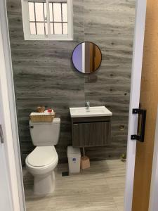 a bathroom with a toilet and a sink and a mirror at A 7 minutos del Aeropuerto SDQ, Moderno y Compacto Apartamento in Boca Chica