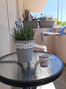 a glass table with a potted plant and a coffee cup at Apartmani LaVa igalo 1 in Igalo