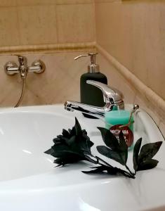a bathroom sink with a bottle of soap and green leaves at hopefco in Fiumicino +27 photos