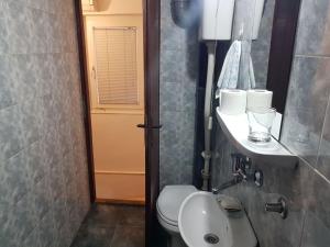 a bathroom with a sink and a toilet in it at Ozon in Belgrade