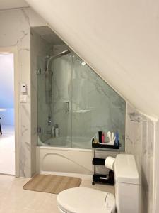 a bathroom with a shower and a toilet at Lovely 1- bedroom Unit in Grimsby in Grimsby