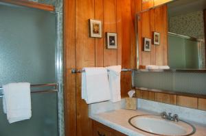 Koupelna v ubytování 68 Wawona Dome View + 19 fotografií