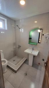 a bathroom with a shower and a sink and a toilet at Cottage in Bakuriani +12 photos