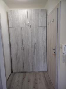 Habitación con 4 puertas de madera en una habitación en Útulný byt v centru Kroměříže, en Kroměříž