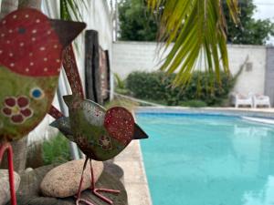 a bird statue sitting next to a swimming pool at Casa Antigua in San Francisco