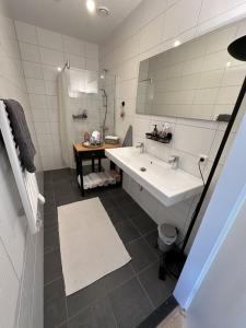 a bathroom with a white sink and a mirror at Your perfect stay in Enschede! in Enschede