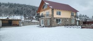 a house in the snow with a snow covered yard at Cottage in Bakuriani