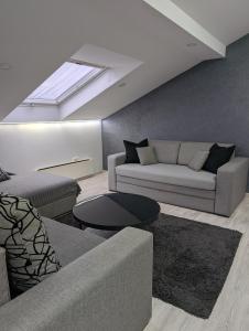 a living room with a couch and a skylight at Top Belgrade Apartments in Belgrade