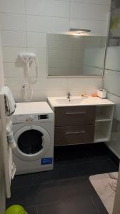 un bagno con lavatrice e lavandino di Appartement 2 chambres et salon proche Paris a Sèvres